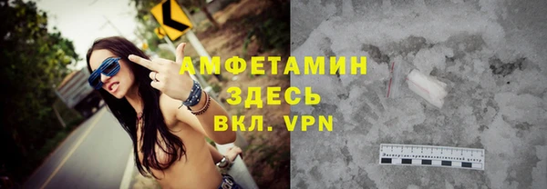 прущие грибы Белокуриха