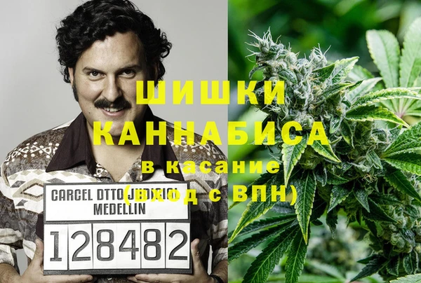 крисы Беломорск