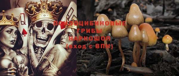 тгк Богданович