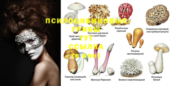 хмурый Белоозёрский