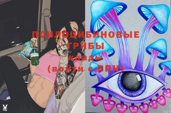 тгк Богданович