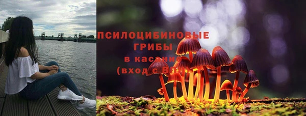 тгк Богданович