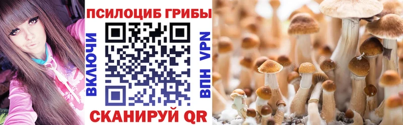 Галлюциногенные грибы Psilocybine cubensis Купить закладки Починок